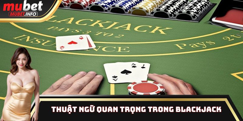 Những thuật ngữ quan trọng có trong trò chơi Blackjack