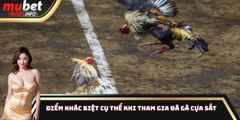 Điểm khác biệt cụ thể khi tham gia đá gà cựa sắt