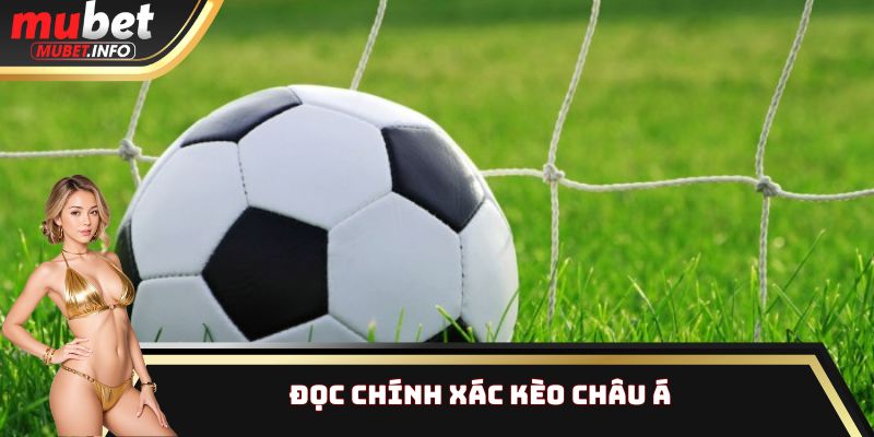 Đọc chính xác kèo Châu Á