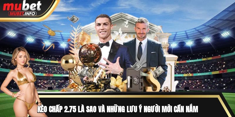 Kèo Chấp 2.75 Là Sao? Và Những Lưu Ý Người Mới Cần Nắm 1 Kèo Chấp 2.75 Là Sao