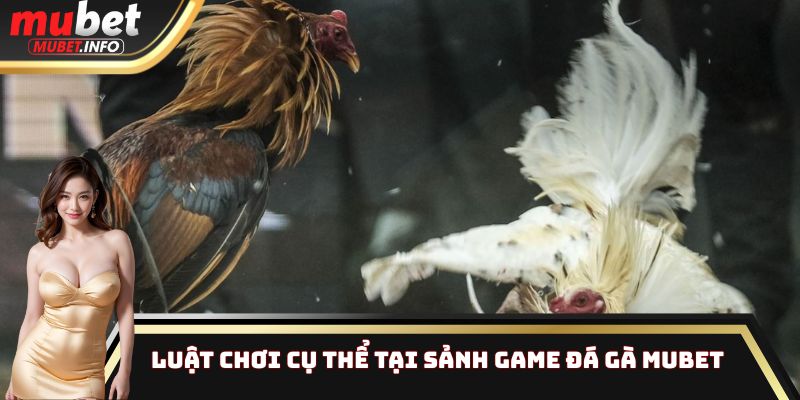 Luật chơi cụ thể tại sảnh game đá gà Mubet