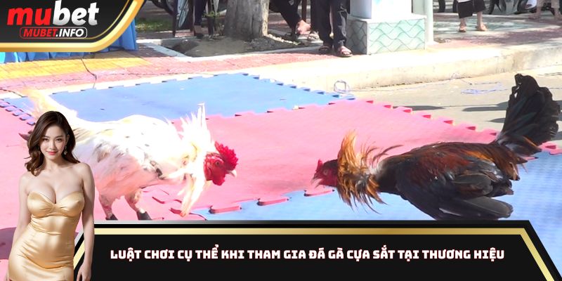 Luật chơi cụ thể khi tham gia đá gà cựa sắt tại thương hiệu