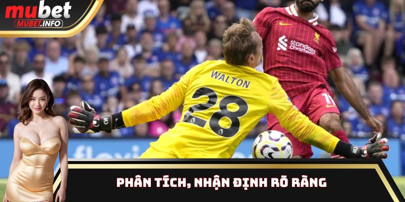 Phân tích, nhận định rõ ràng