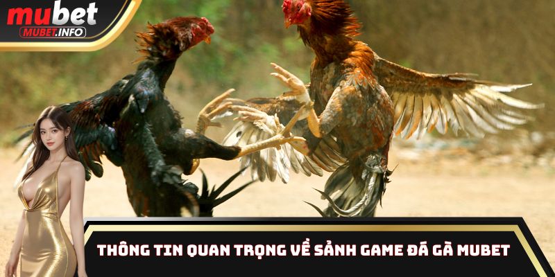Thông tin quan trọng về sảnh game đá gà Mubet