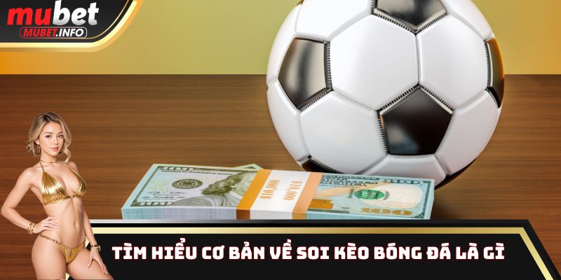 Tìm hiểu cơ bản về soi kèo bóng đá là gì